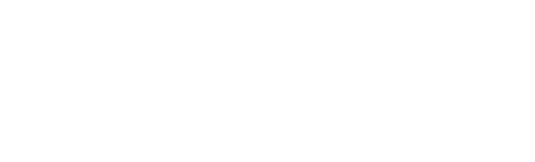 Switching Brains